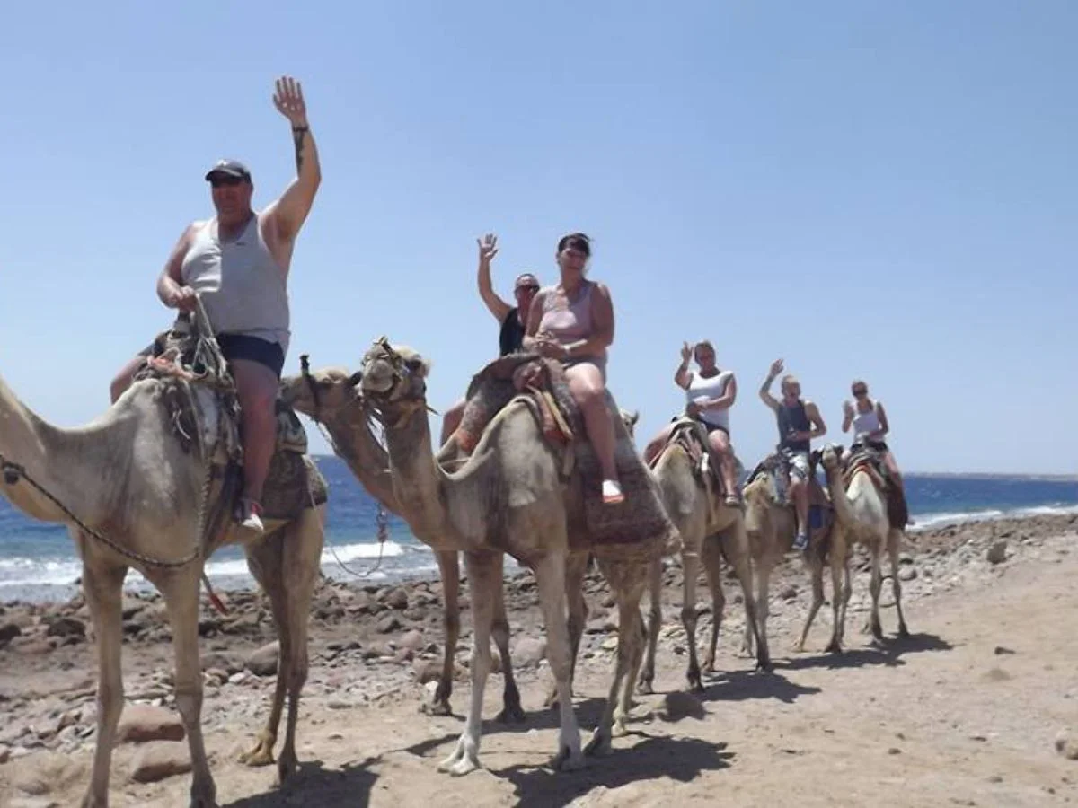Camel Ride